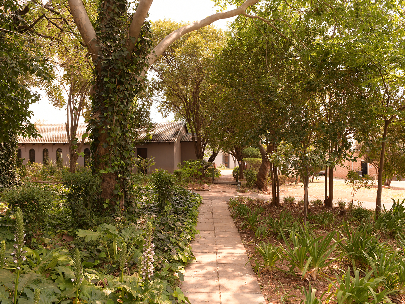 mellow oaks academy