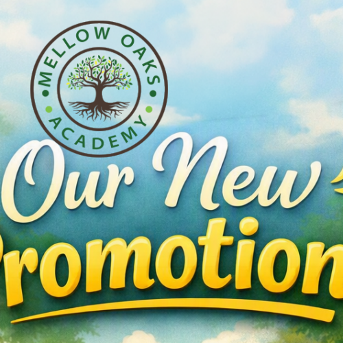 ournewpromotion